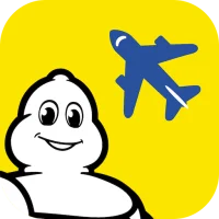 Michelin Aircraft Tires